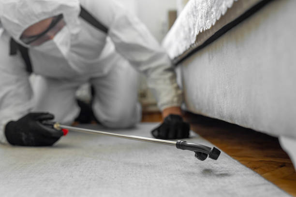 Professional Cockroach Control technician working in Jefferson, OH