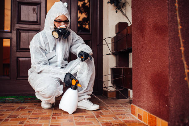 Reliable Cockroach Control contractor in Jefferson, OH by Nex Pest Control